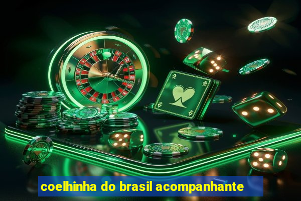 coelhinha do brasil acompanhante